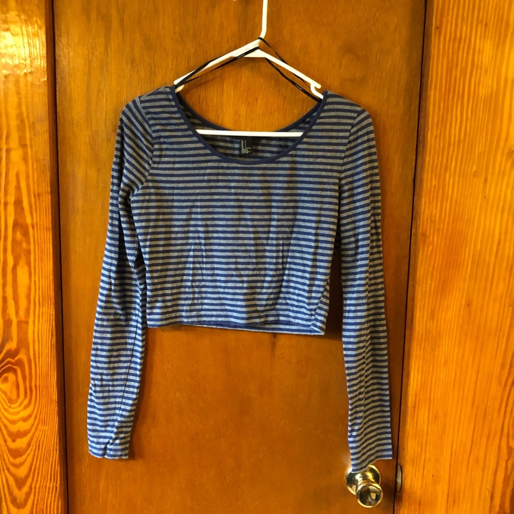 Long Sleeved Crop Top